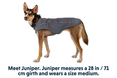 Overcoat™ Dog Jacket