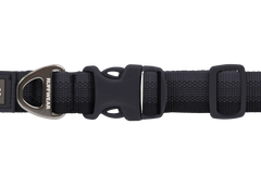 Front Range™ Dog Collar