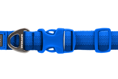 Used - Front Range™ Dog Collar