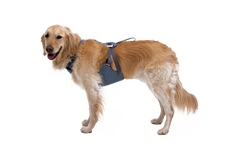 Used - Load Up™ Dog Car Harness
