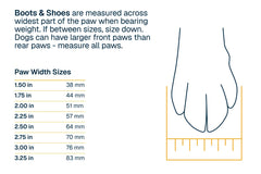 Used - Ridgeline™ Shoes