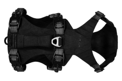 Used - Ridgeline™ Harness