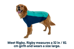 Undercoat™ Dog Water Jacket