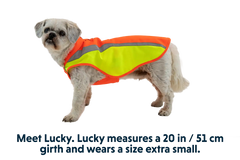 Lumenglow™ High-Vis Vest