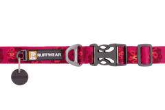 Used - Flat Out™ Dog Collar