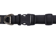 Used - Front Range™ Dog Collar