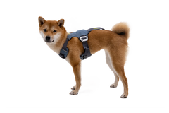 Used - Load Up™ Dog Car Harness