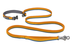 Roamer™ Bungee Dog Leash