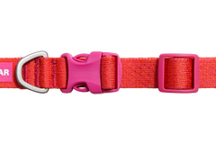 Front Range™ Flex Collar