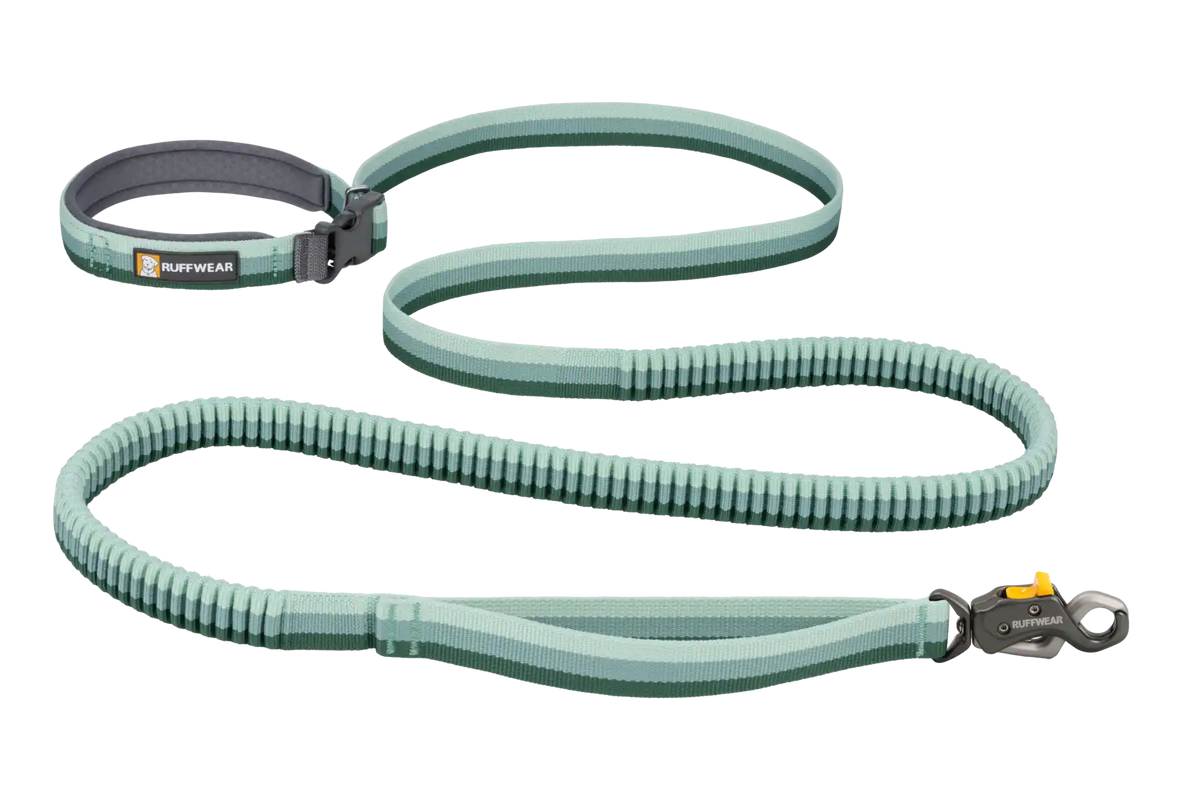 Roamer Lock™  Leash