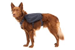 Front Range™ Day Pack